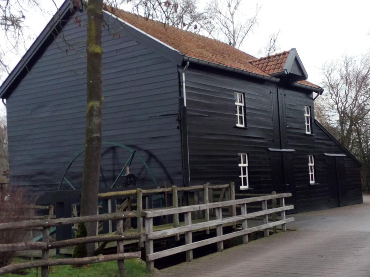 Vakantiehuis In Het Voorhuis Dommelen Zewnętrze zdjęcie