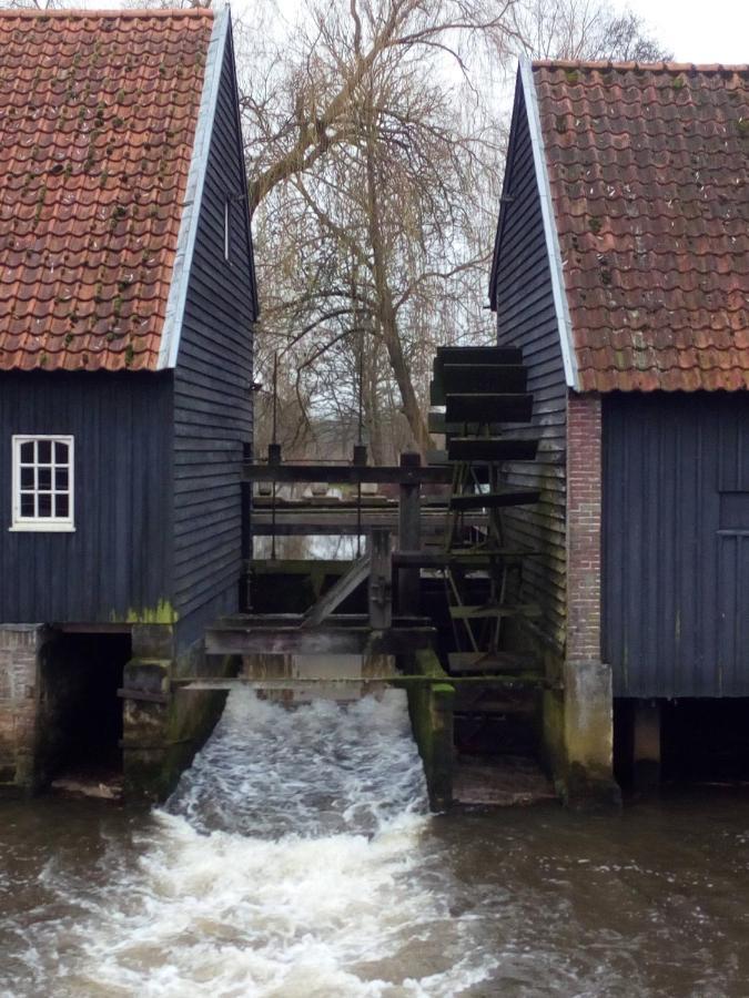 Vakantiehuis In Het Voorhuis Dommelen Zewnętrze zdjęcie